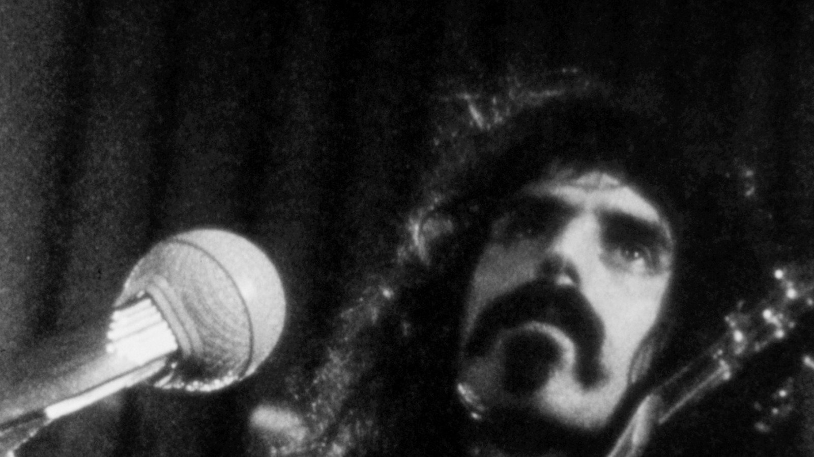 Zappa