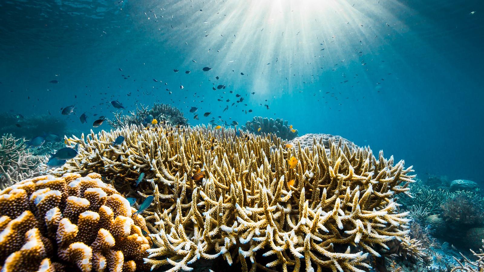 Piece of Magic Entertainment