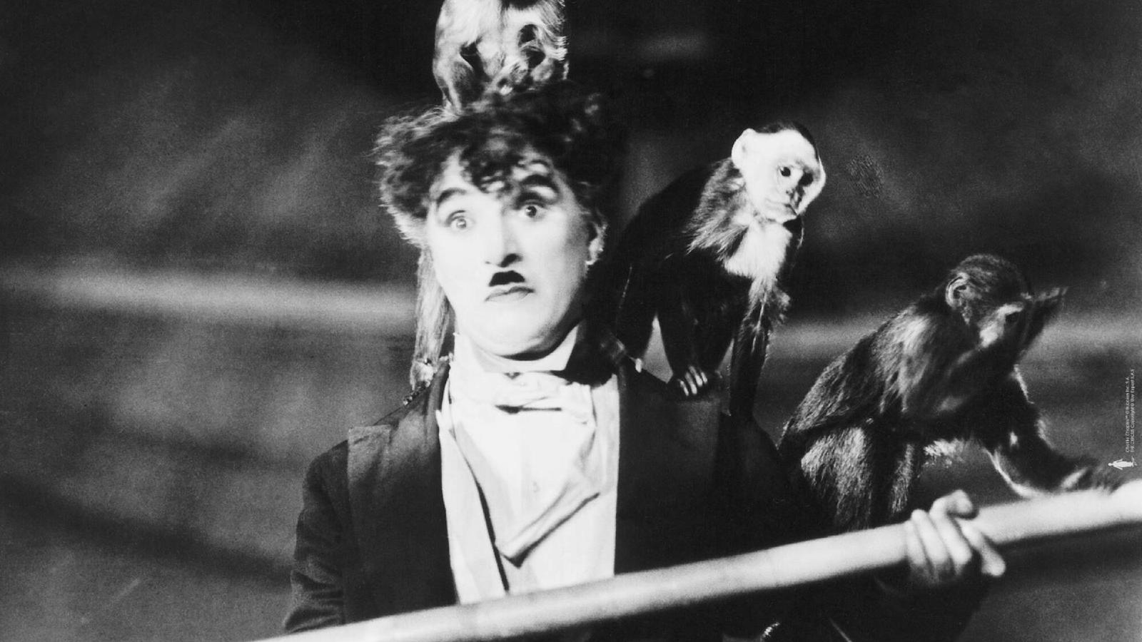 Piece of Magic Entertainment